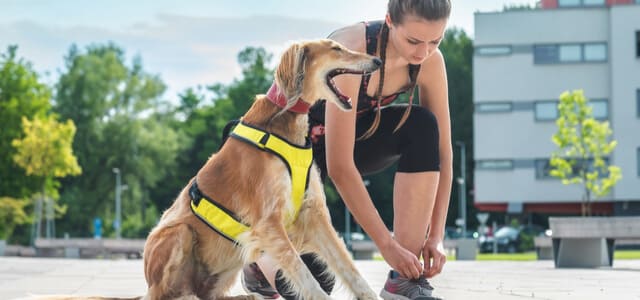 Joggen mit Hund