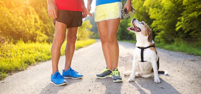 Joggen mit Hund