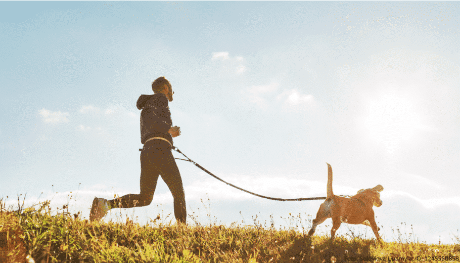 Joggen mit Hund