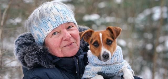 Hund im Schnee