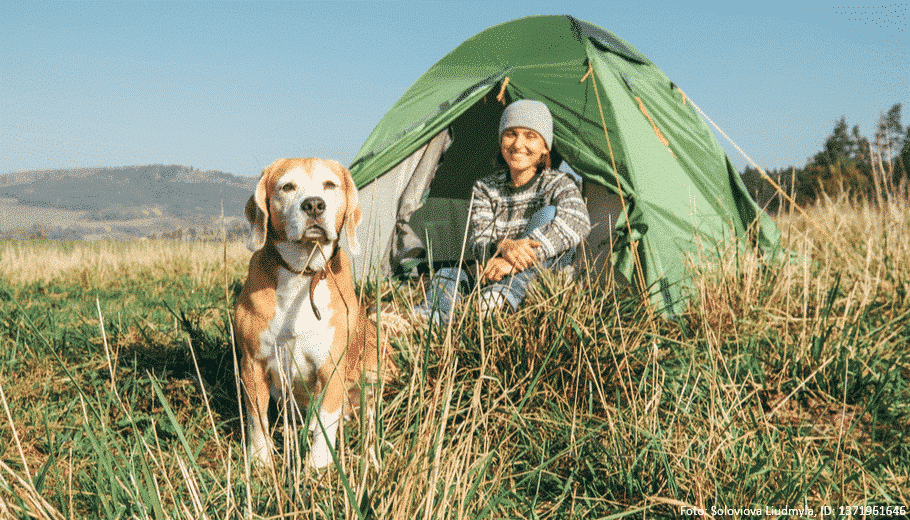 Hund und Frauchen sitzen vor einem Zelt