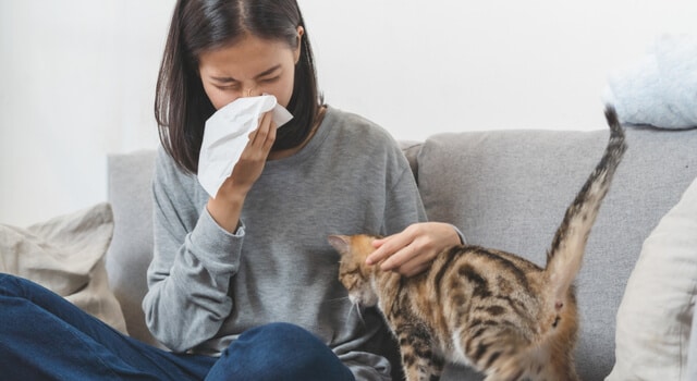 Frau mit Katzen Allergie