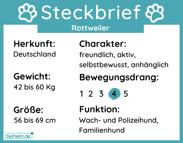 Steckbriefe Rottweiler