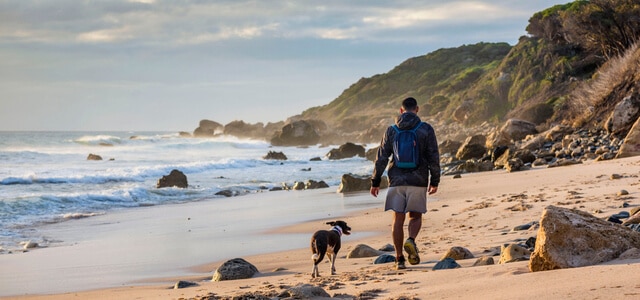 Wandern mit Hund am Strand