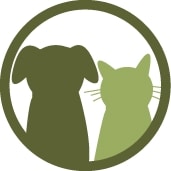 Premium Profile Image